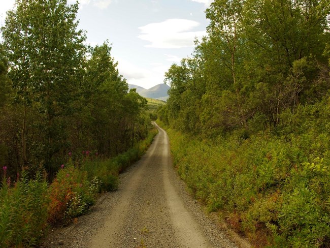 KATM VTTS Road Section An unpaved two track road leading to distant mountains is framed by mid-sized, leafy trees and vegetation