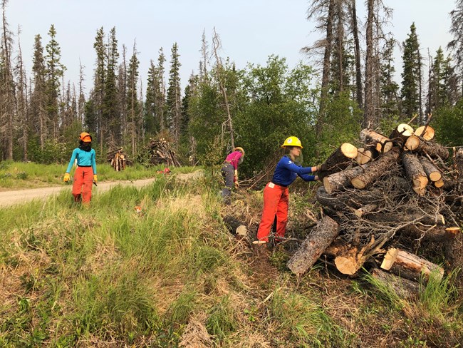 SCA Crew Katmai 2022 Several women add logs to a pile of woody debris