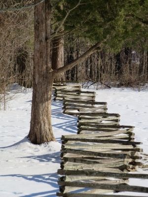 fence in snow