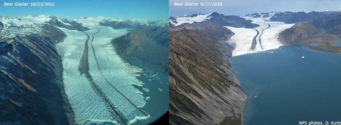 In the image of Bear Glacier in 2012, the ice extends the full length of the photo. In the 2019 image, Bear Glacier extends only half way into the photo and is surrounded by a glacial lake.
