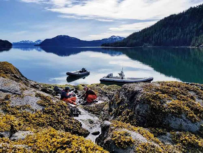 An intertidal community and a calm bay with two inflatable boats moored.