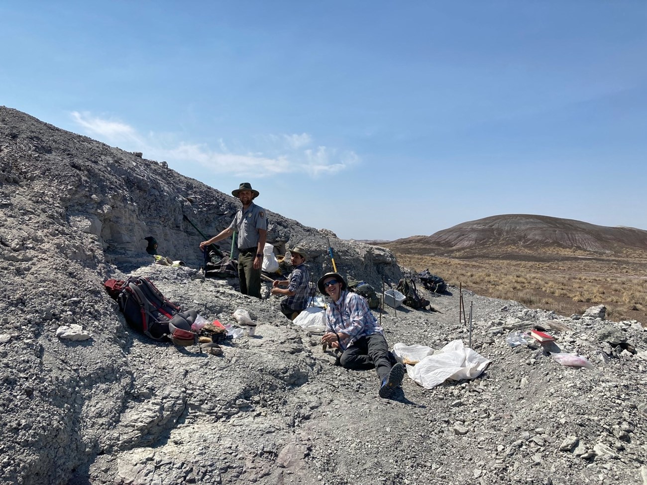 people working in a fossil quarry