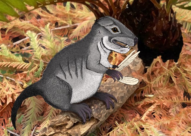 artistic reconstruction of a small prehistoric mammal
