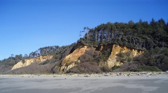 Cliffs along a beach expose yellowish colored rock and soil.