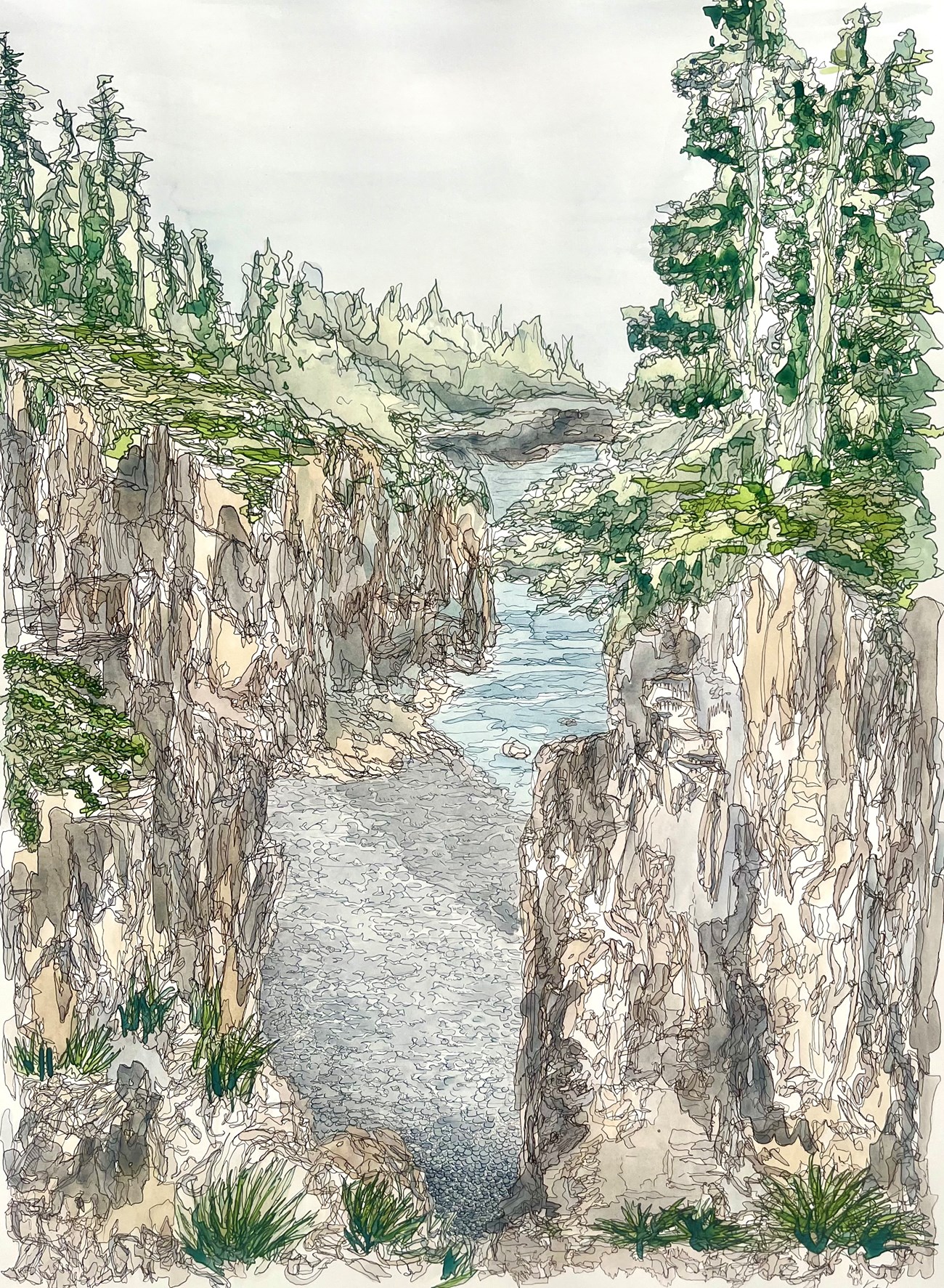 Intricate line drawing of rocky coastline with high cliffs, trees, and a gravel beach below Intricate line drawing of rocky coastline with high cliffs, trees, and a gravel beach below
