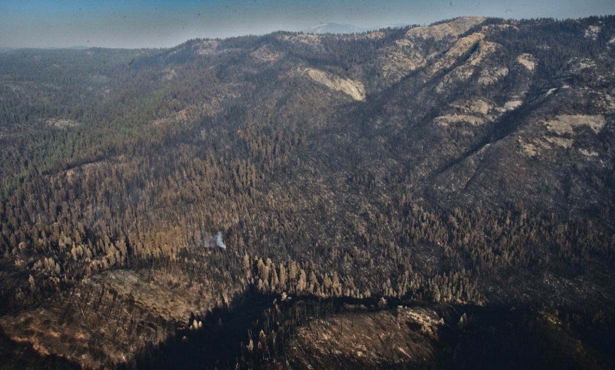 A view from high overhead shows a forested landscape, with many trees missing from blackened areas
