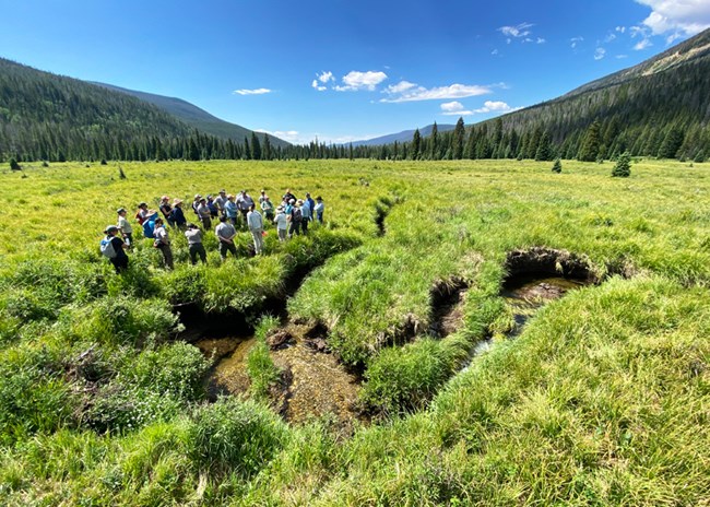 Group of people standing in a green grassy meadow with trees and mountains in distance