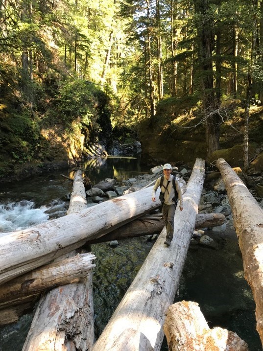 Young Asian male walking across a fallen tree trunk. There are a couple more fallen tree trunks on either side of him. He is in a forested area with green trees in the background. He is wearing a light colored ball cap with a tan long-sleeved shirt, gray