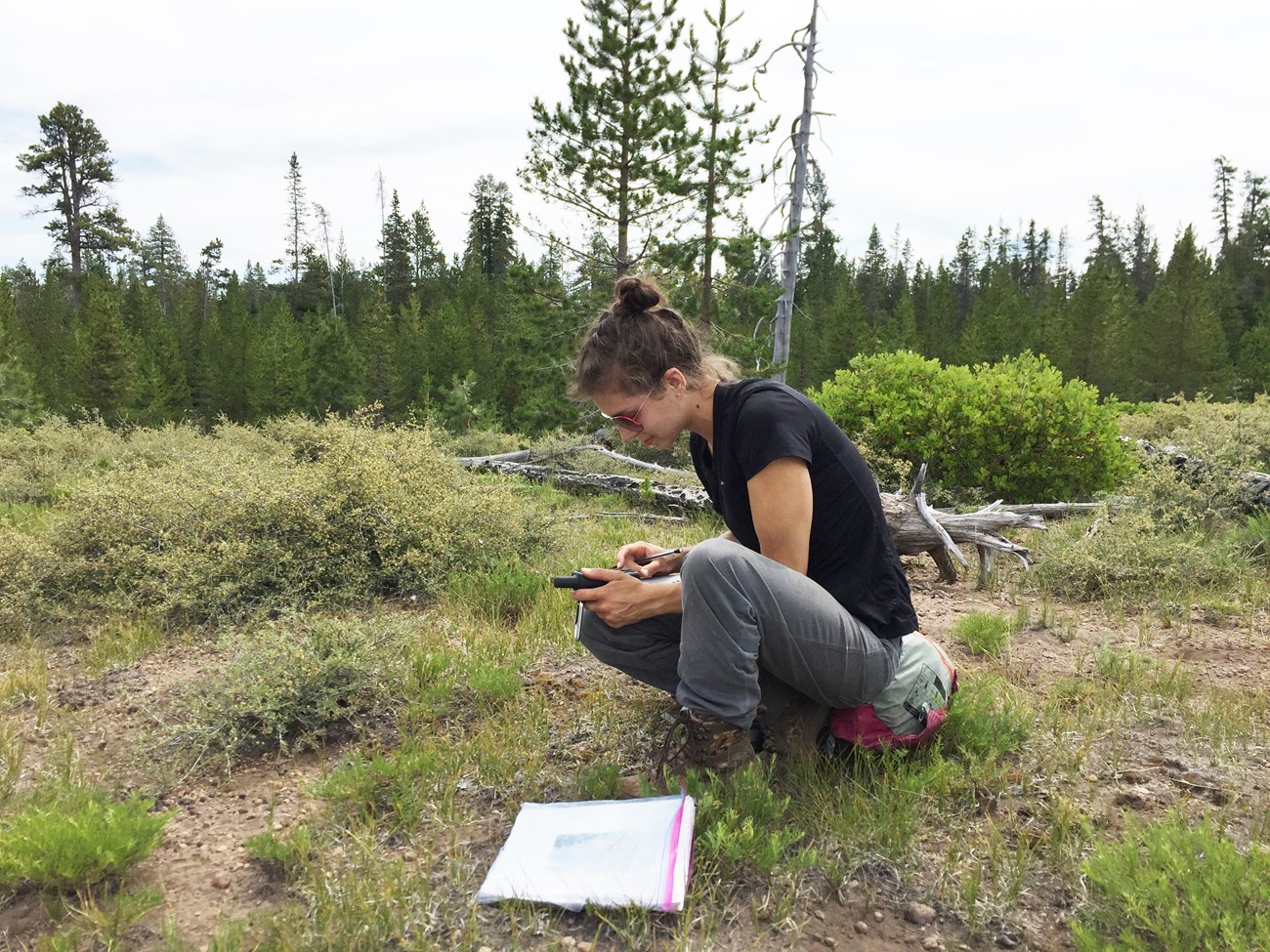 Person crouching in an area of low vegetation, looking at a handheld GPS unit and recording data.