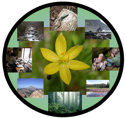 A kaleidoscope collage of scenes from nature and people working in nature.