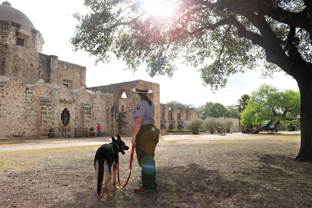 Dog and park ranger Looking at Church