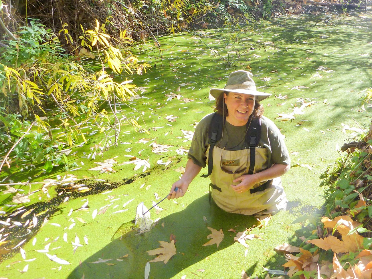 Katy in waders, waist-deep in a duckweed-covered stream pool.