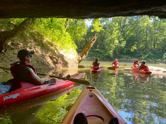 People sitting in red kayaks on a river.