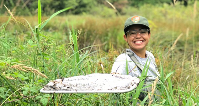 Kayla Fermin conducting dragonfly nymph sampling for nationwide Dragonfly Mercury Project in Kwis Kwis pond at Lewis and Clark National Historical Park