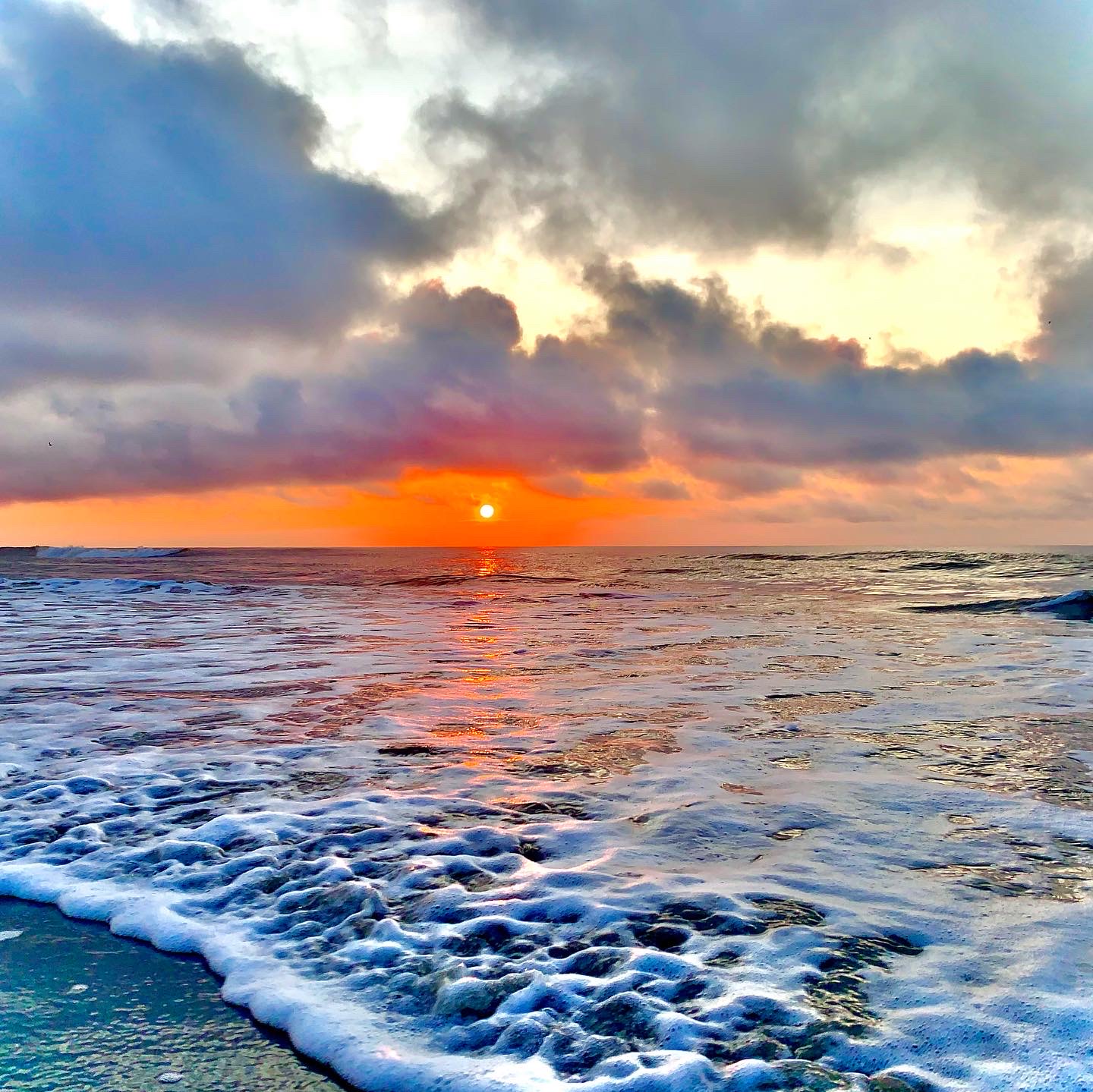 Vibrant orange sunset over blue water with waves moving in toward sandy shore. Large, worn trunks or branches pop up from the sand.