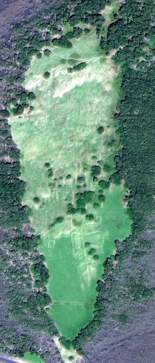 Satelite image of grassy field with raised lines crossing land
