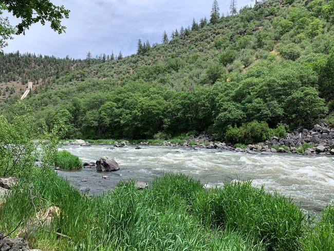 a swiftly flowing river with green vegetation on the river banks