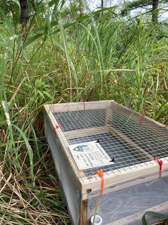 a wooden and screen box in the grass