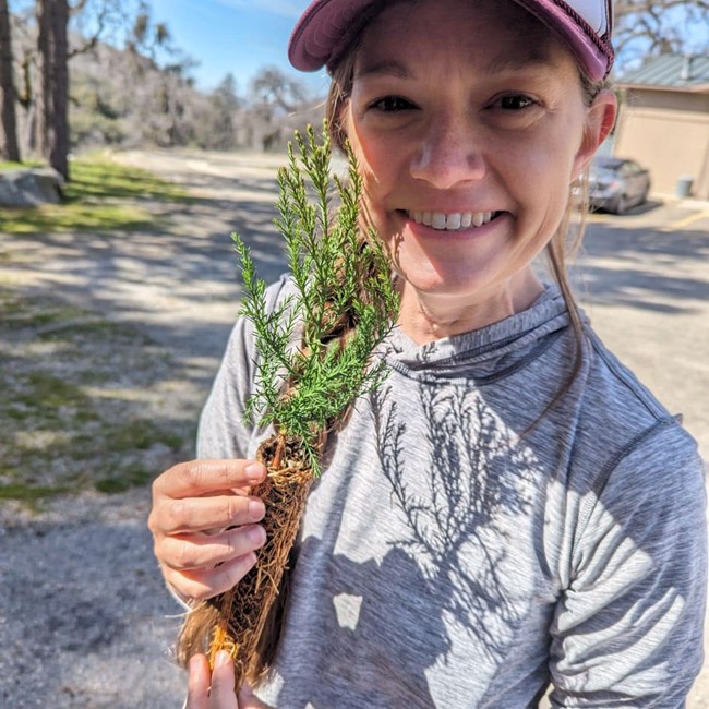 Kristin Weikel Closeup photo of a woman holding a giant sequoia seedling and smiling.