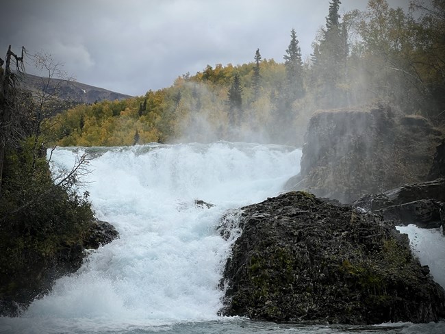 A waterfall with rushing waters crash into rocks and the river below. There is a green forest in the background with overcast conditions.