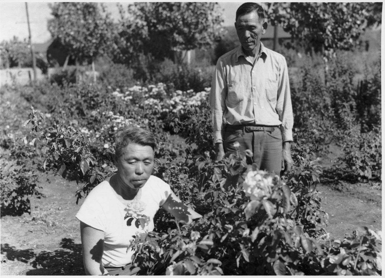 Kuichiro Nishi crouches in a rose garden while another man stands next to him.