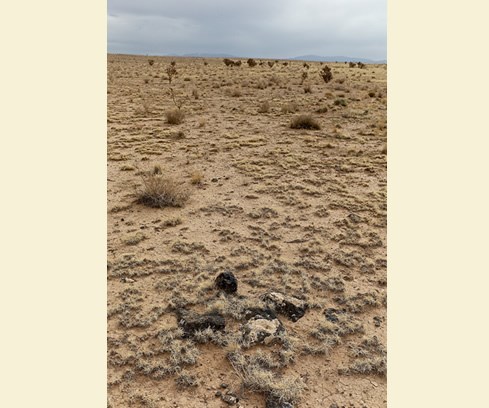 Stone remnants of early American Indian gardens dot the dusty landscape of La Bajada Mesa, one of the most difficult routes into Santa Fe on El Camino Real. Photo © Jack Parsons