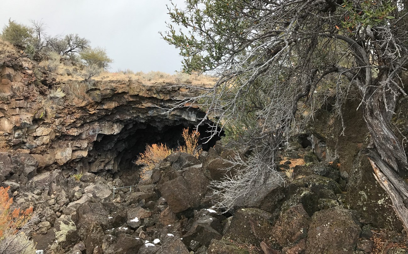 Cave opening in lava rock just below ground level.