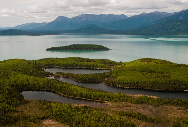 Image of a forested landscape and islands with a large lake in the background.