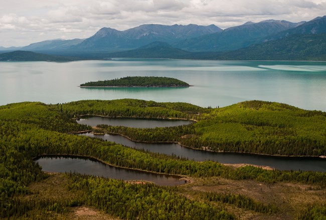 Tommy Island on Lake Clark Image of a forested landscape and islands with a large lake in the background.