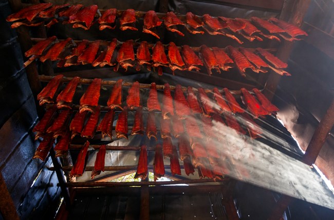 Sockeye Salmon hanging in Smokehouse as sunlight comes through.