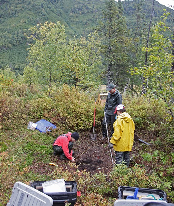 Three people setting up a square survey plot and surrounded by forest.