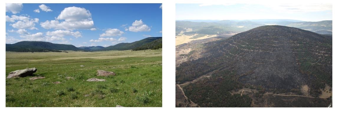 Left photo shows green grassy plain ringed by caldera mountains. Right photo shows a mountain with concentric rings made of logging roads.