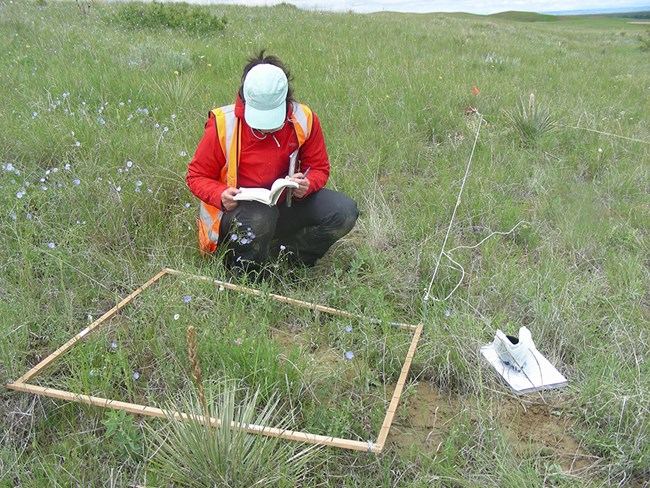 Woman kneels next to square plot frame on the grass and takes notes.