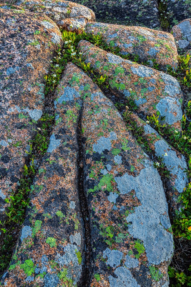 Detail photo in low light of fractured pink granite boulder covered with lichen