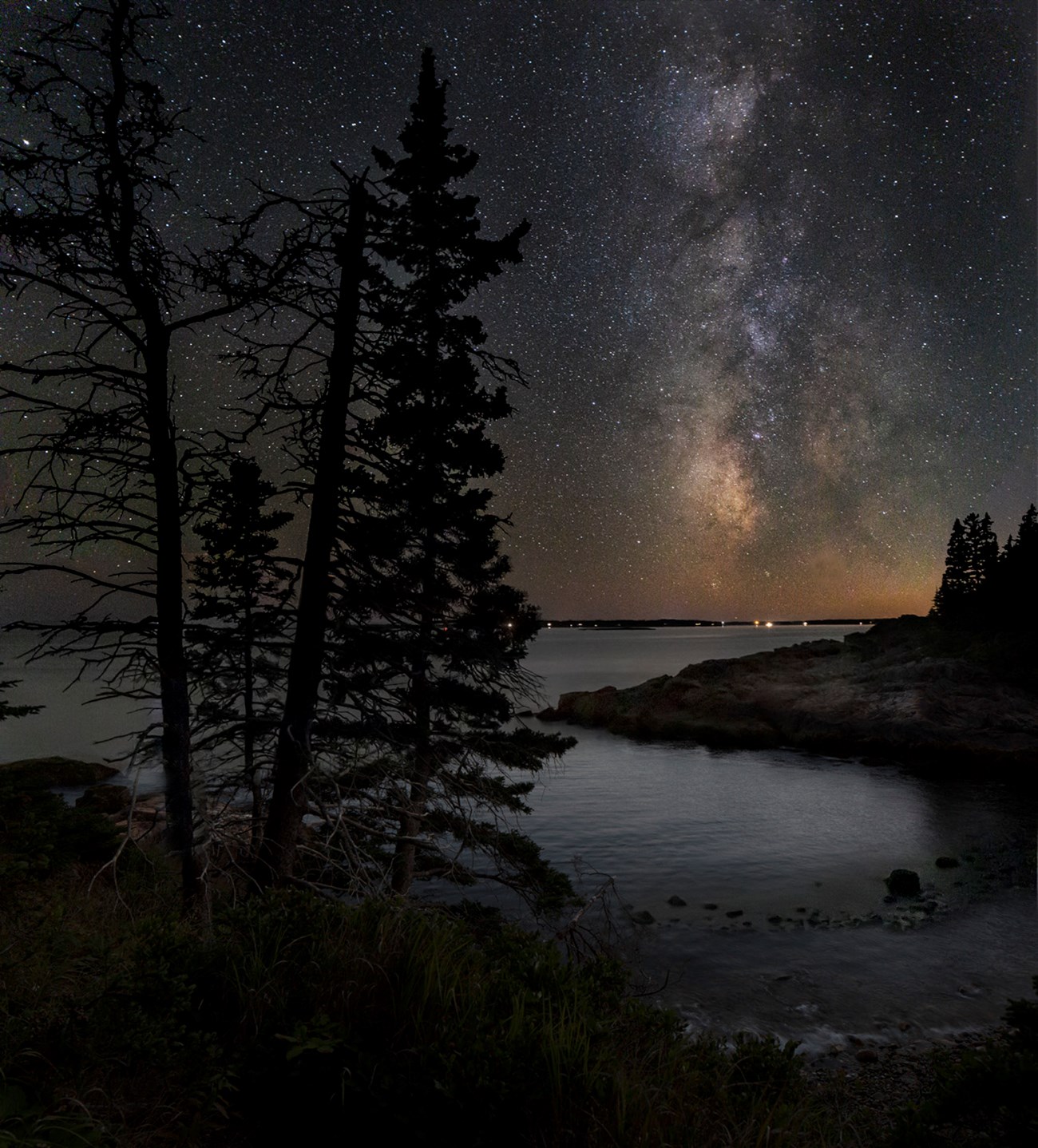 Night sky image with Milky Way bright in upper right, a tree silhouette at left, and water and faint rocky shoreline in foreground