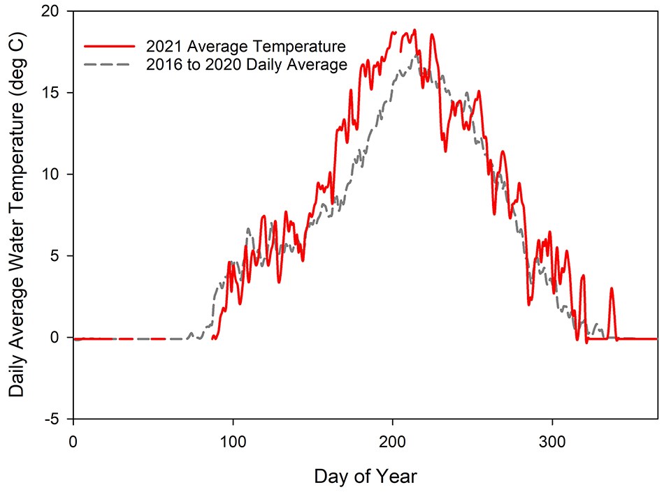 Line graph of daily average water temperature from 2016 to 2020 and in 2020. Water temperatures were higher than the previous five-year averages