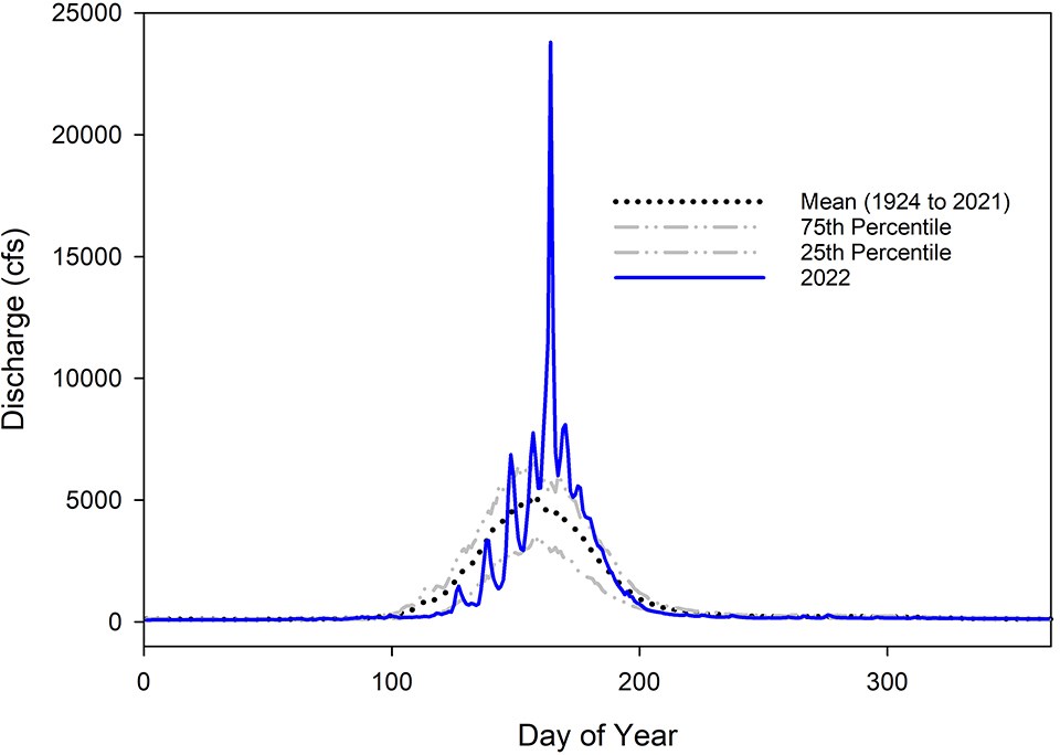 Line graph of water discharge showing a strong peak above the long-term average in June.