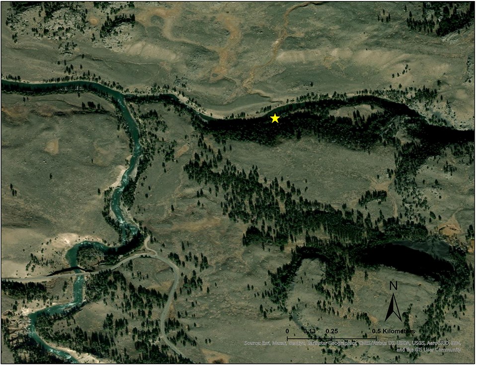 aerial photo of the Lamar River and monitoring site is starred.