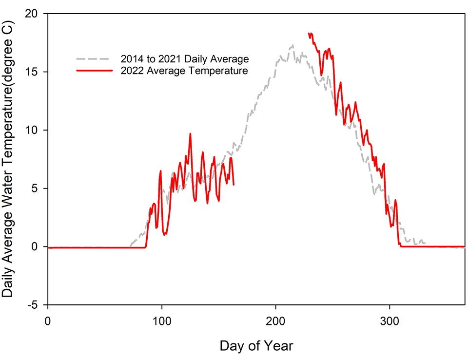 Line graph of daily average water temperature from 2016 to 2020 and in 2021. The average daily temperature exceeded the long-term average in mid-August.