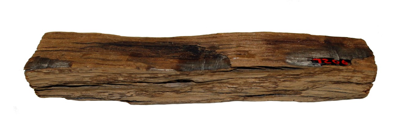 LONG 7206 Somerset Fragment Fragment of darkened wood