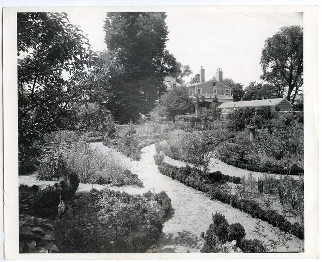 A black and white photo showing manicured trails lined with vegetation of the Longfellows’ house in 1940.