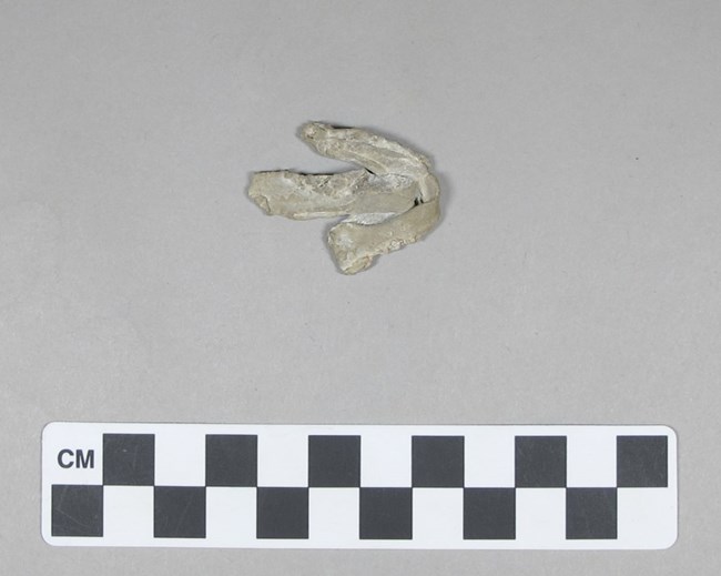 White lead strip with three ends about 4 cm long next to a scale bar