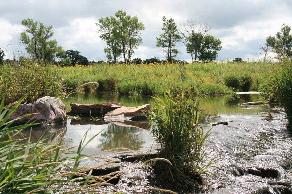 Lake Hiawatha A lake surrounded by trees and grass