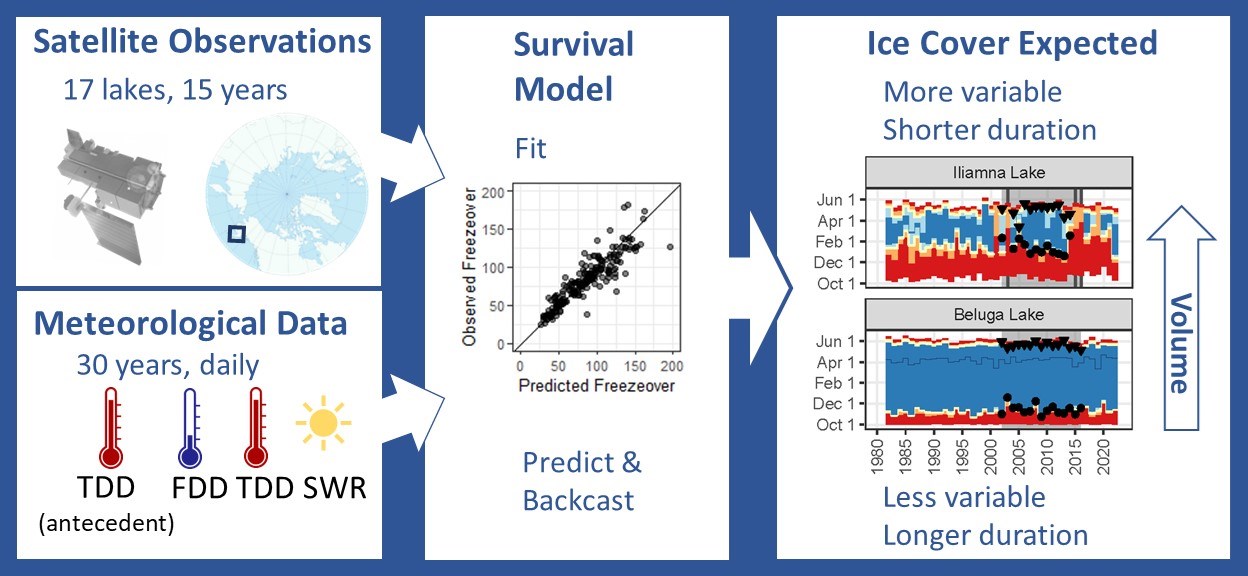 A graphic showing components of lake ice phenology.