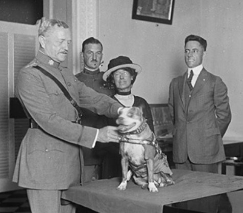 Black and white photo of three men surrounding a table with dog sitting on it.