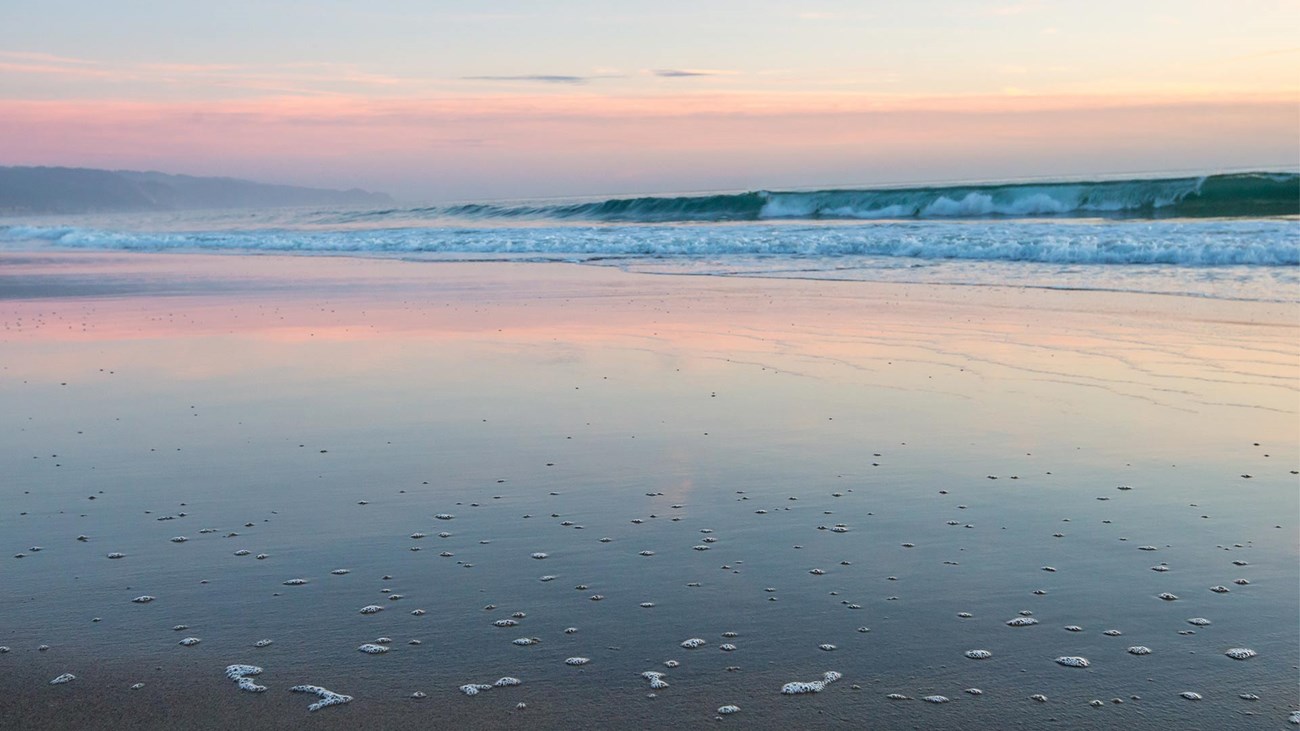Pastel sunset reflected in wet sand dotted with clusters of bubbles from the previous wave as another wave crashes offshore.