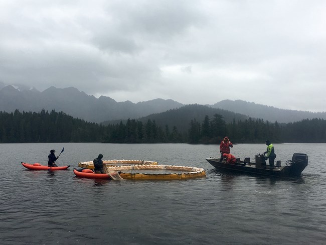 Scientists in small boats set up water-based enclosures.