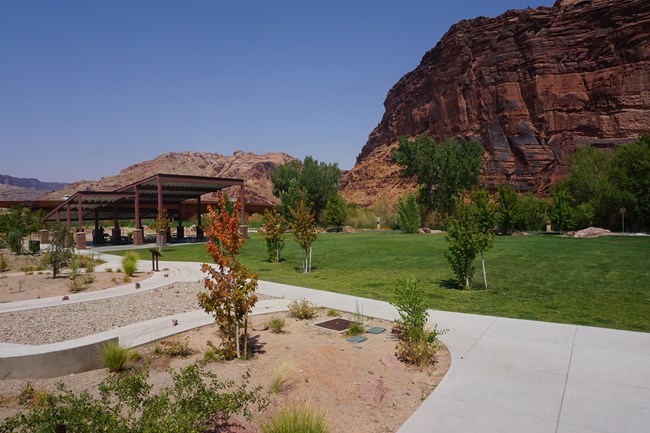 Lions Park on a sunny day with a large canopy and intersecting walkways.