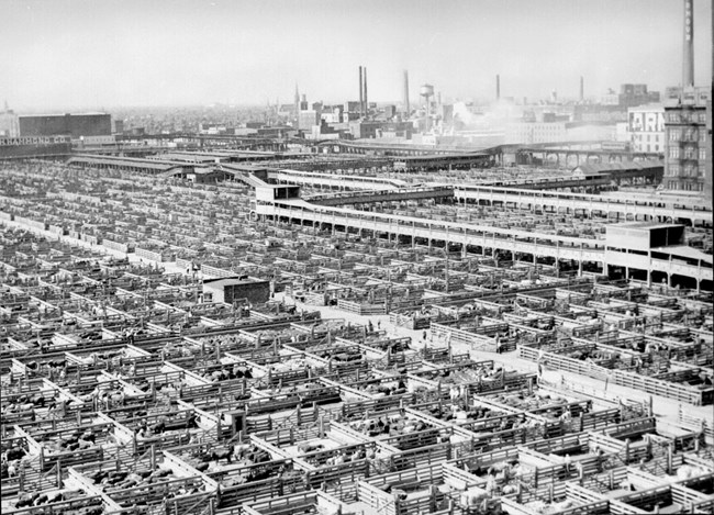The maze of livestock pens and walkways at the Union Stock Yards, Chicago, Illinois, USA