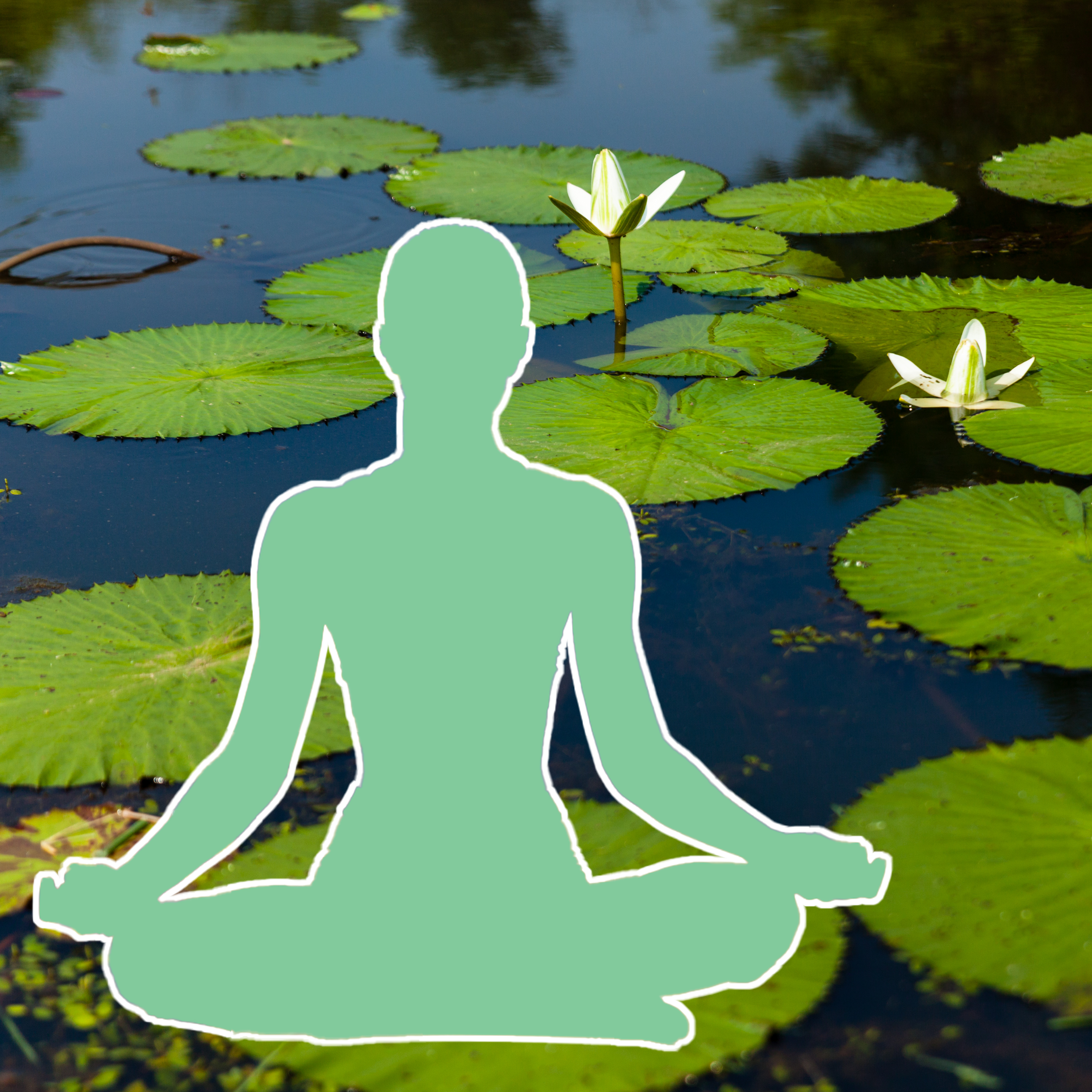 How To Do Half Bound Lotus Seated Forward Bend | Benefits, Variations,  Modification